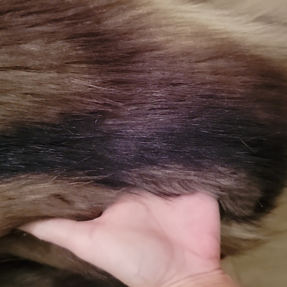 Moda International Brown Teddy Jacket. XS. BN! - Picture 3 of 11